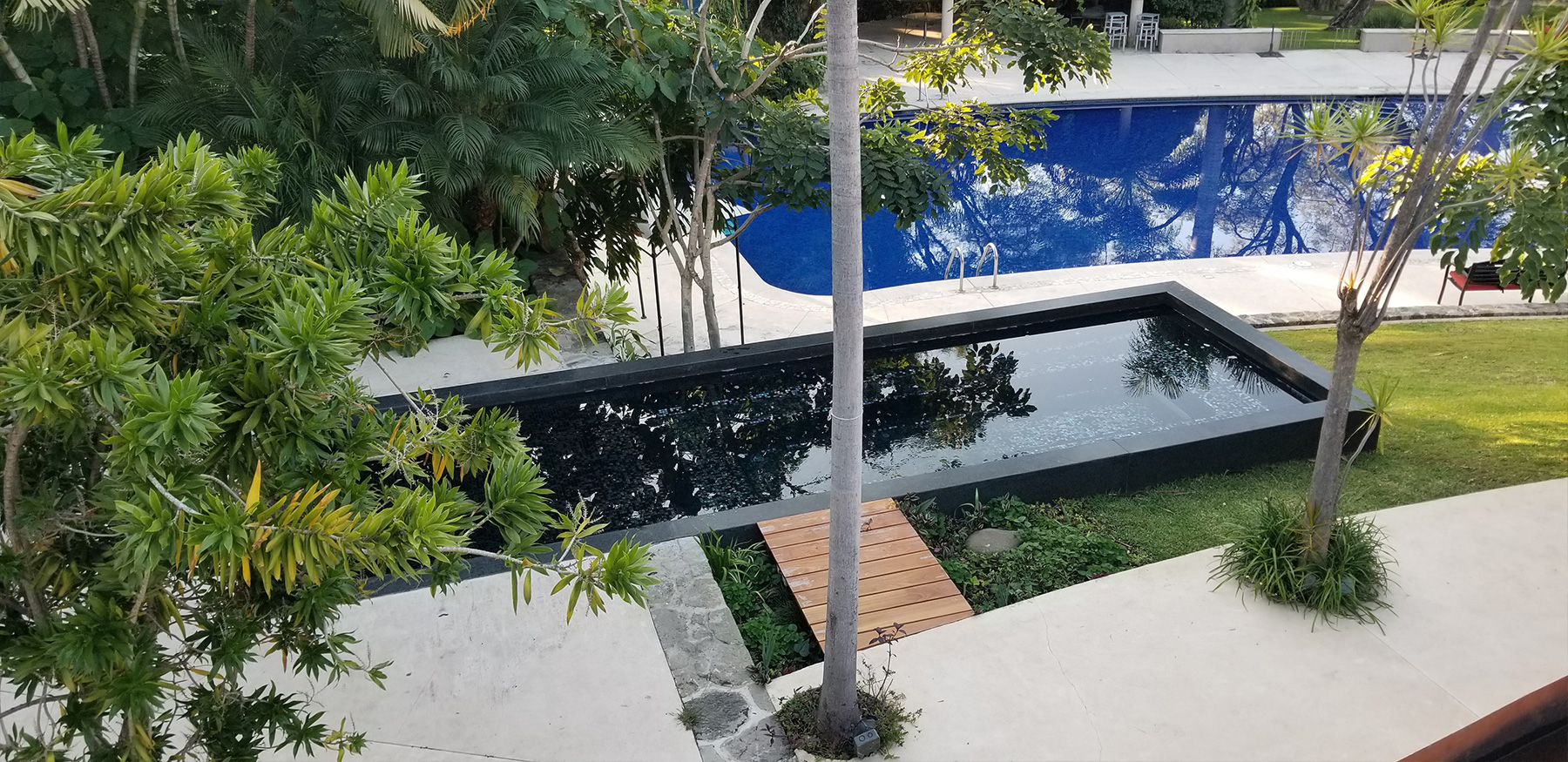 proyecto arbolada