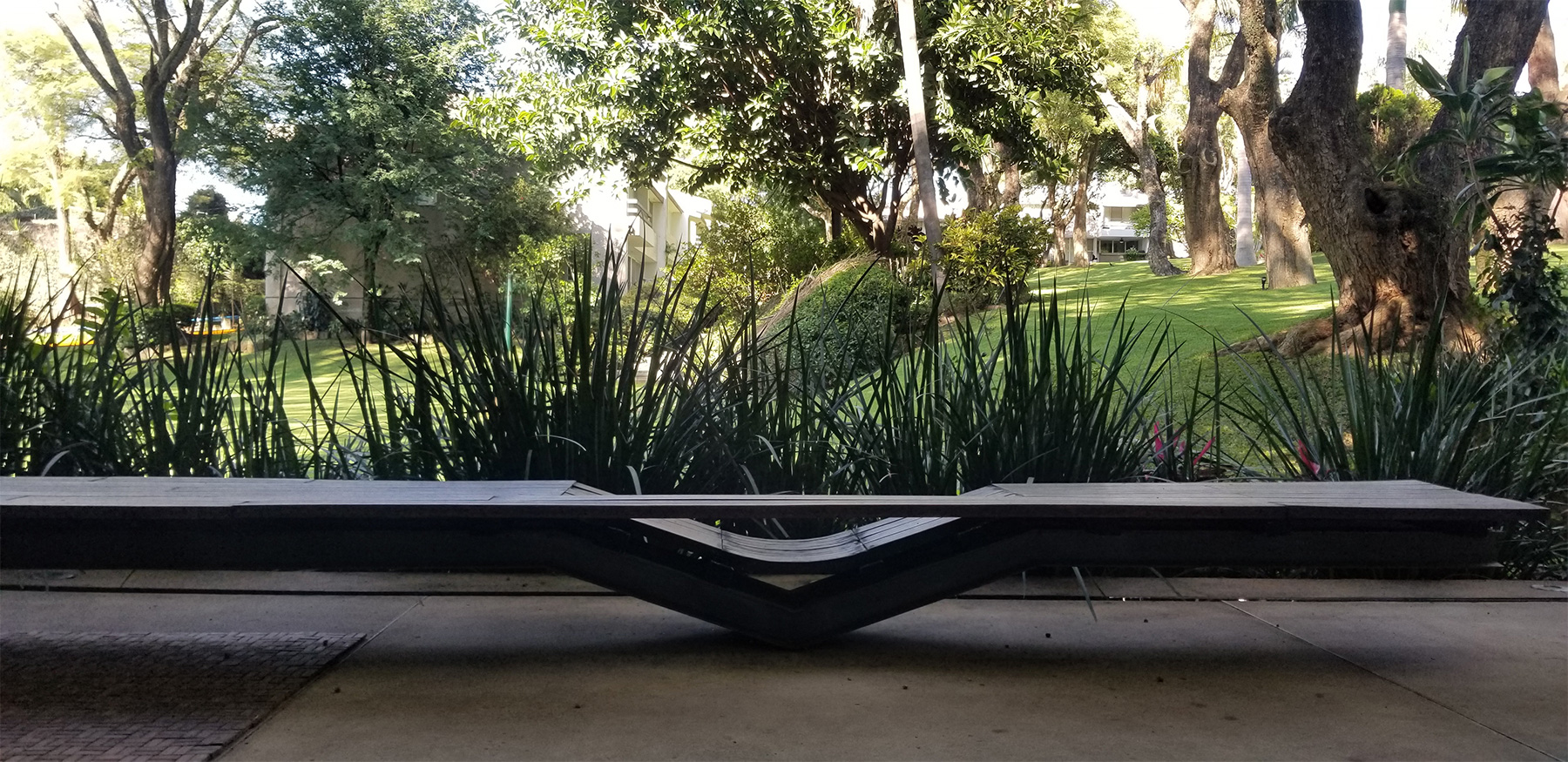 proyecto arbolada