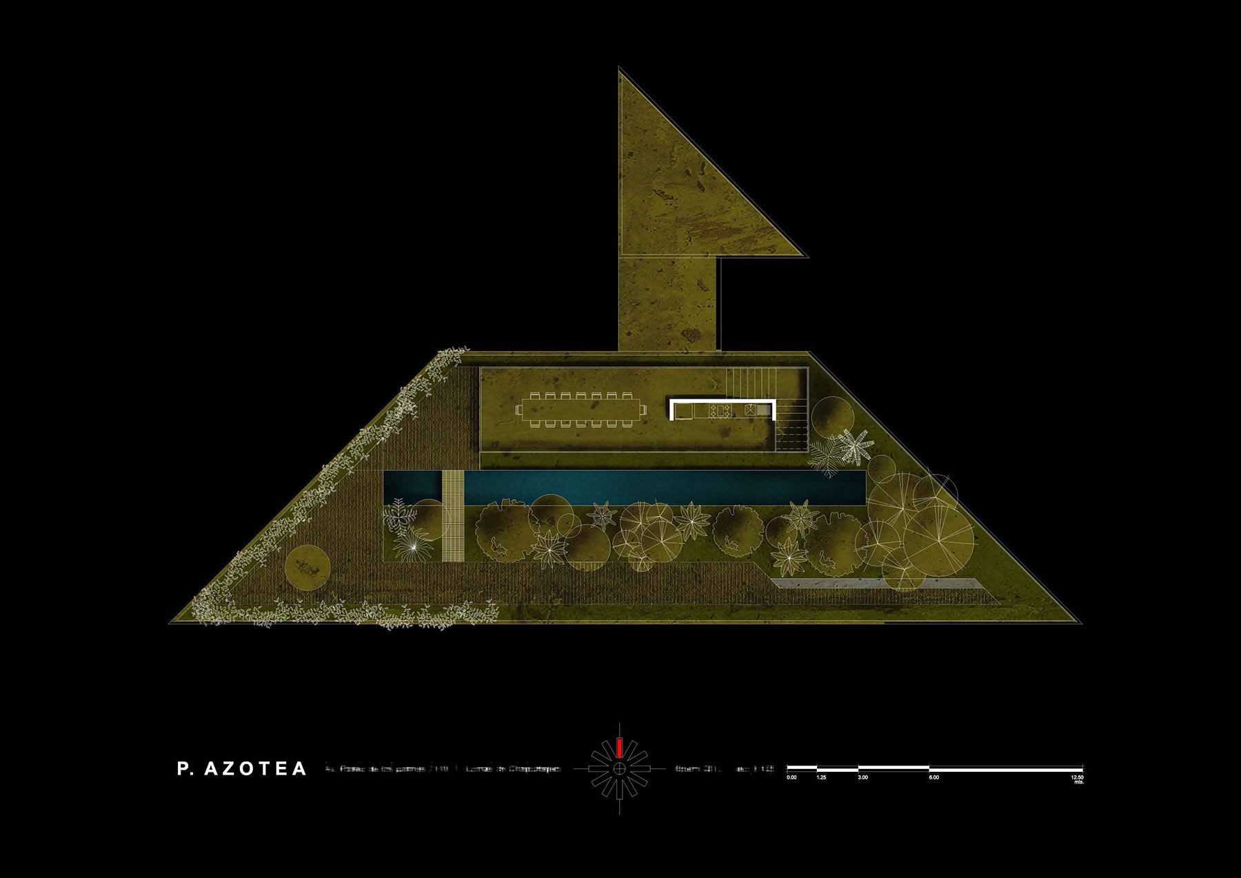 proyecto Casa Palmas