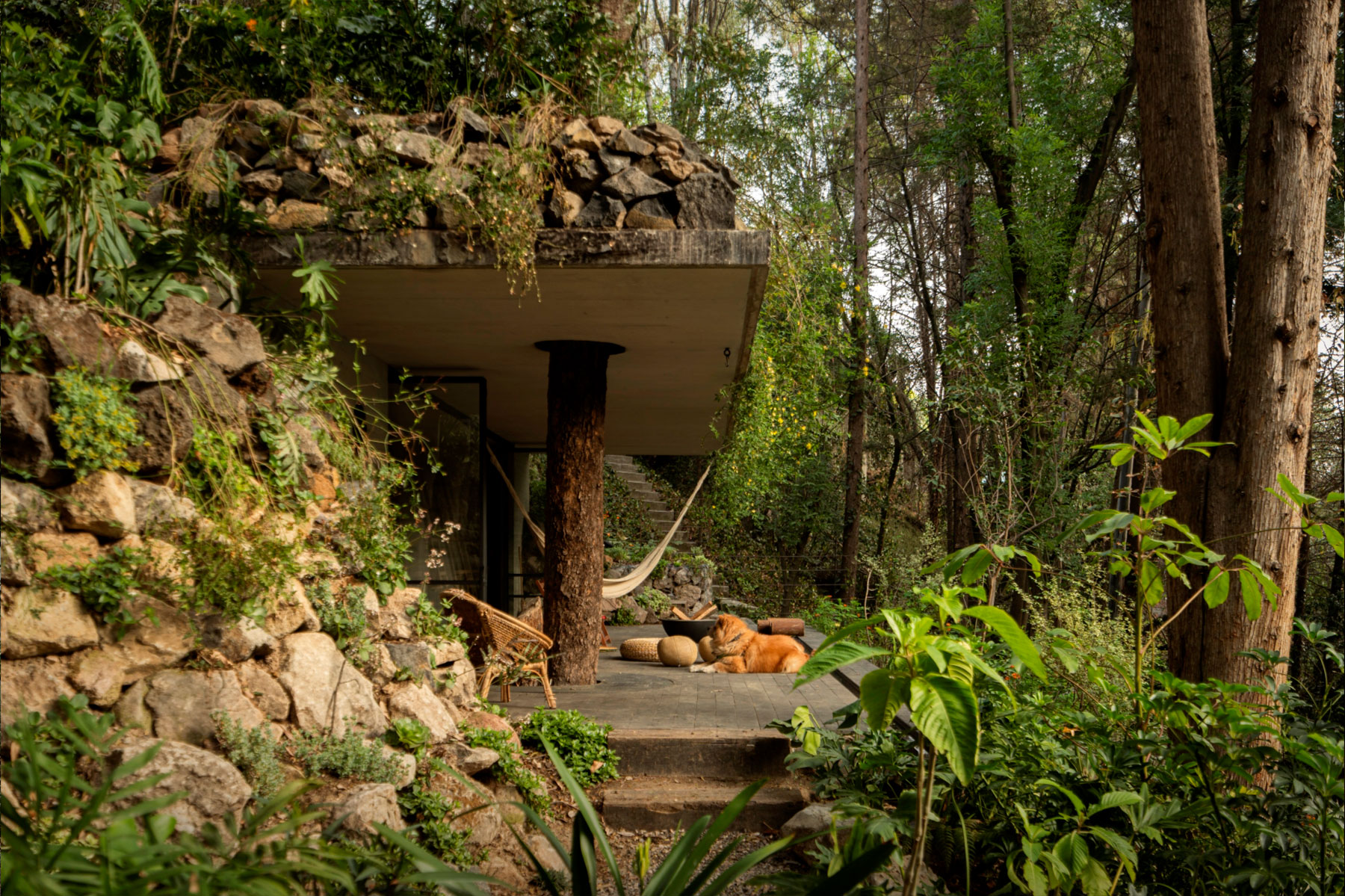 proyecto Itambe