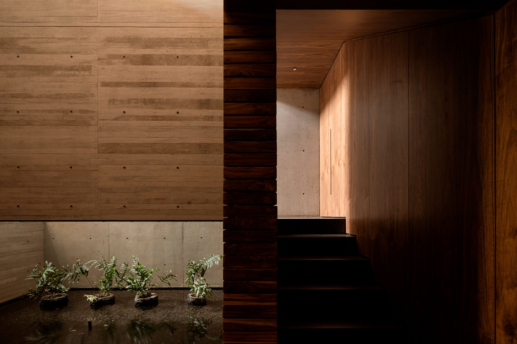 proyecto Itambe
