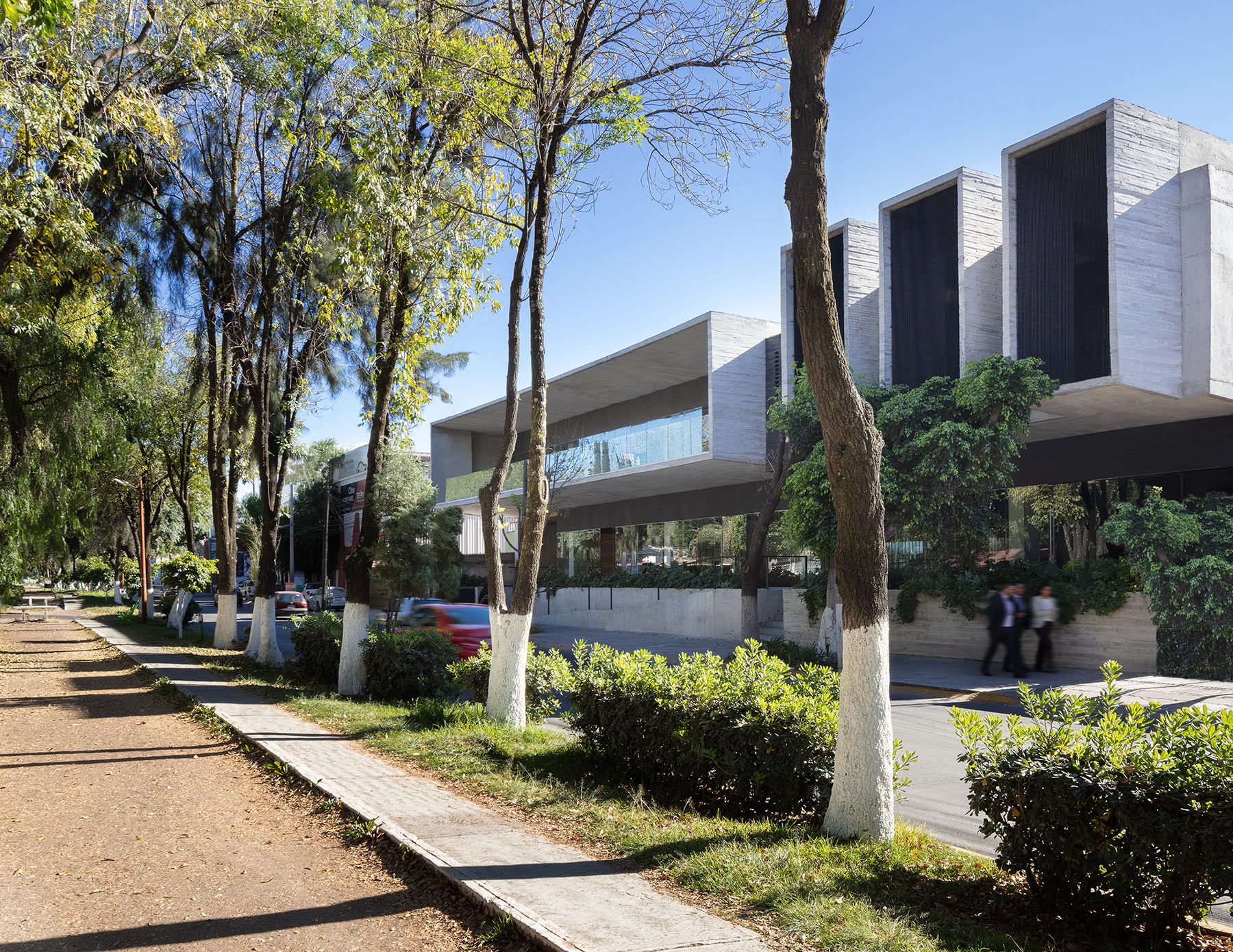 proyecto jinetes