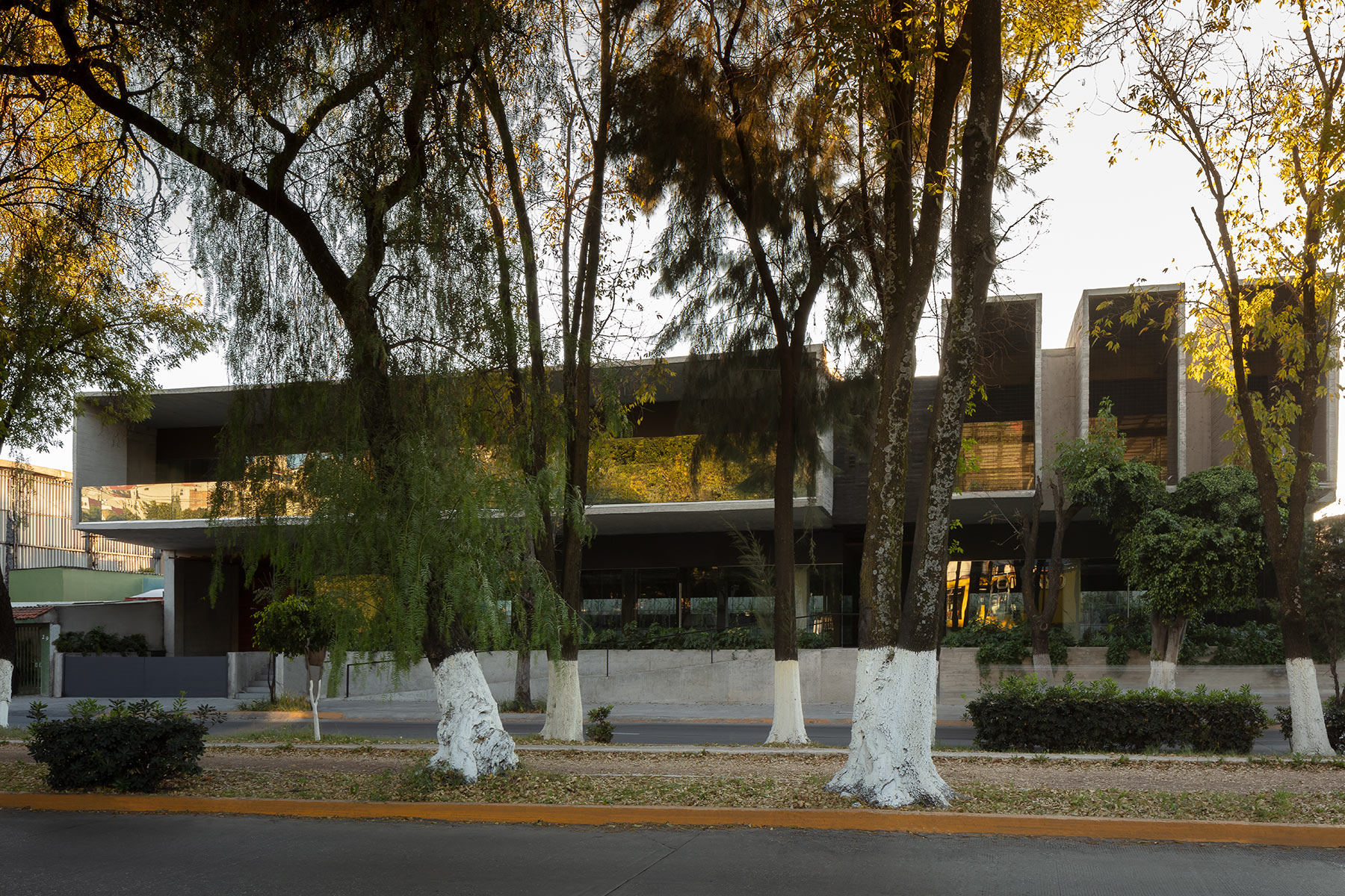 proyecto jinetes