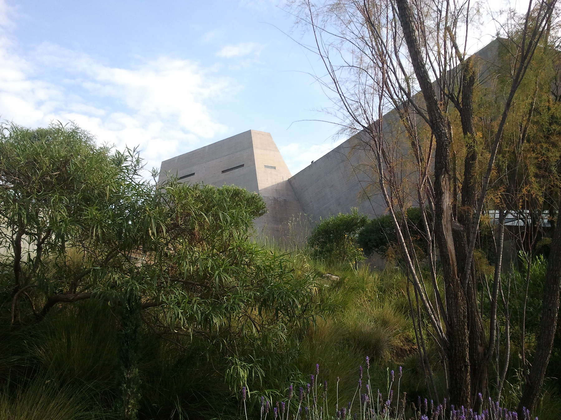 proyecto monte sinaí
